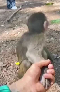 🤩