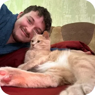 🐱