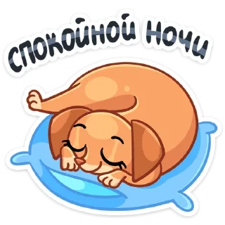 😴