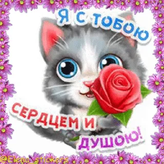 😺