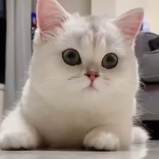 ☺️