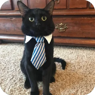 👔