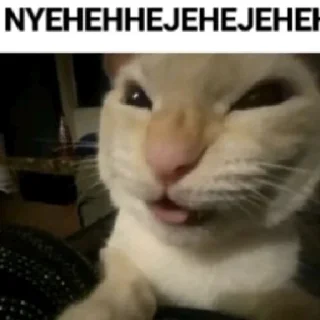 😋