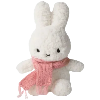 🧣