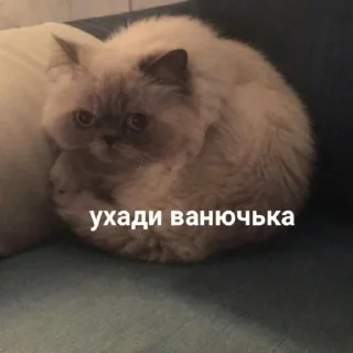 😟