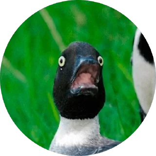 😱