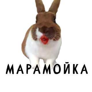 🦹‍♀