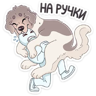 🐶