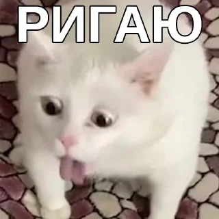 🤢