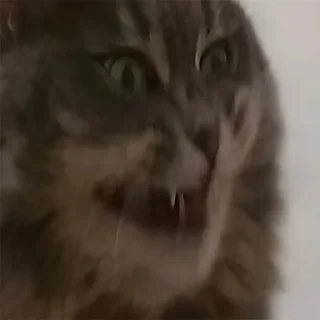 👺