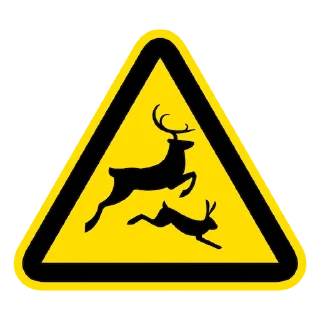 🦌