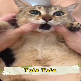 😯