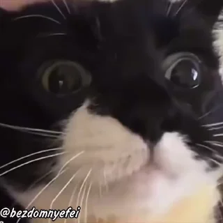 😳