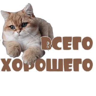 🙂