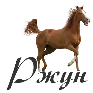🐴