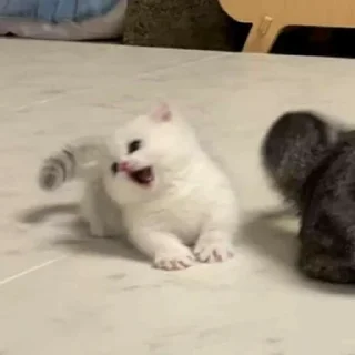 😱