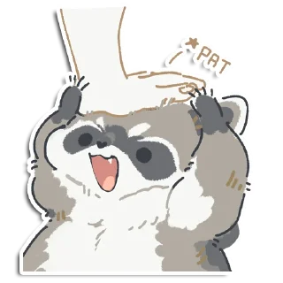 🦝