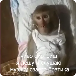 🎧