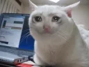 😭