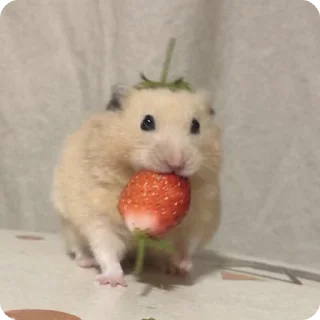 🍓
