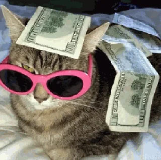 💰