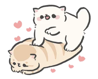🐱