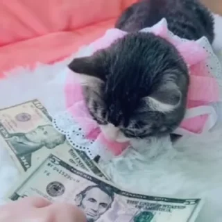 💵