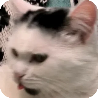 😝