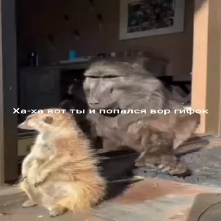 😂