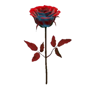 🌹
