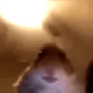👀