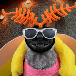 🤩