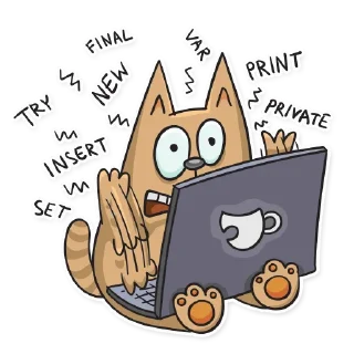 💻