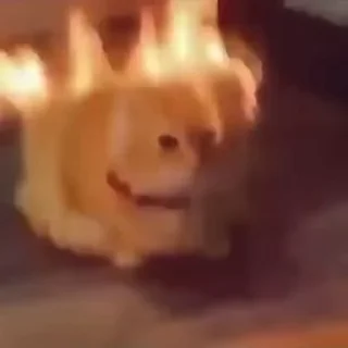 🤯