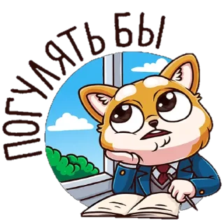 ЛетоШколаВКпак