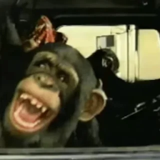 🚘