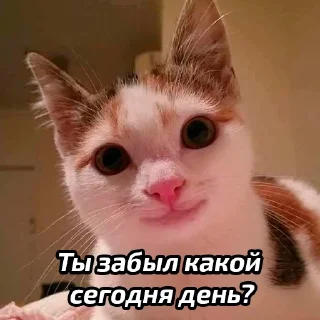 🤔
