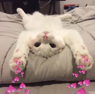 💜