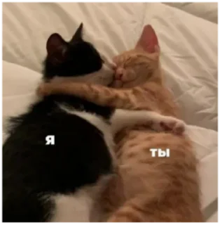 🤗