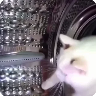 🤯
