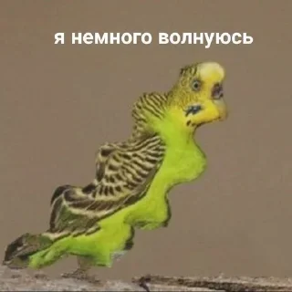🥴