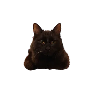 🍞
