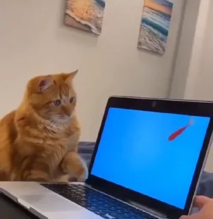 😱