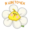 🌸