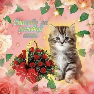 🥰