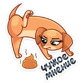 💩