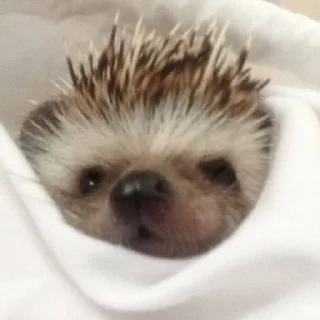🙂