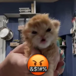 🤬