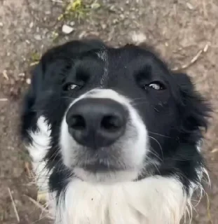 😌