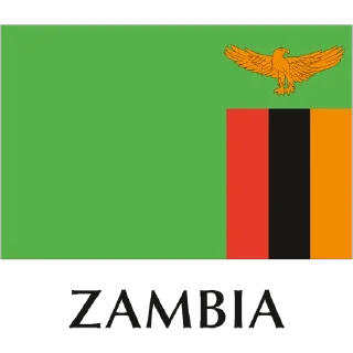 🇿🇲